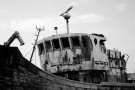 Cimetière à bateaux de Camaret (29)