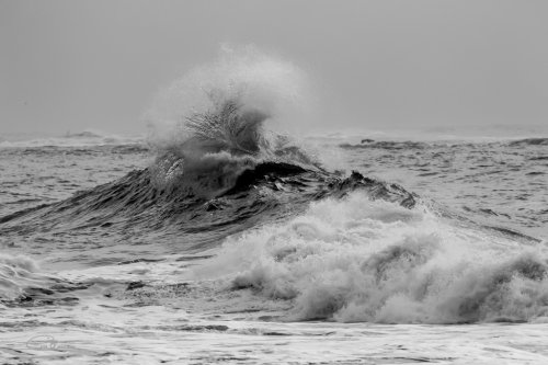 Tempête sur Lesconil (29)